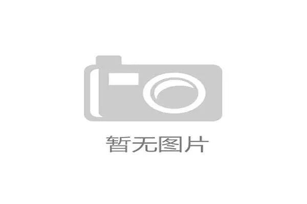 斯坦福桥所属组织全面解析与发展历程探讨