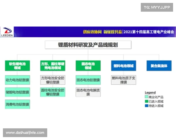 斯坦福桥组织效能提升策略与实践路径探索